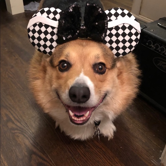 Thank you ❤️ - Picture 5 of 12